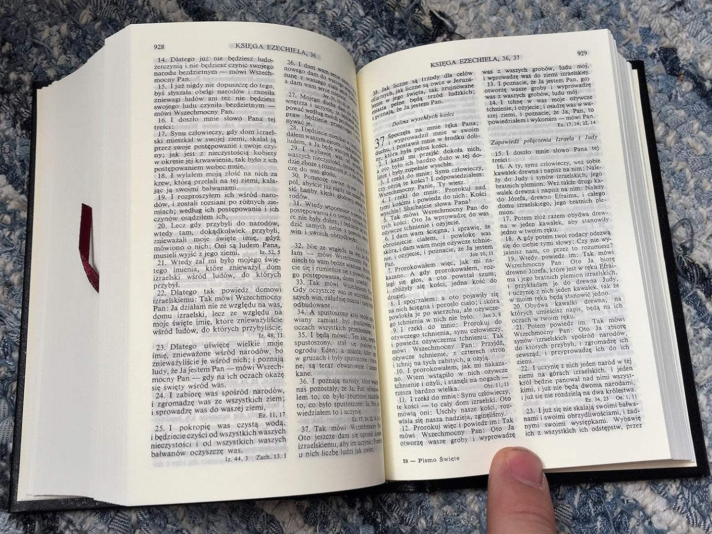 Polish Bible - Re-vived