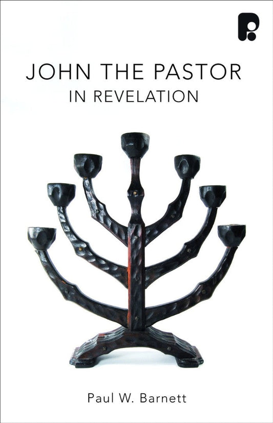 John The Pastor: Encouragement For A Struggling Church - Re-vived