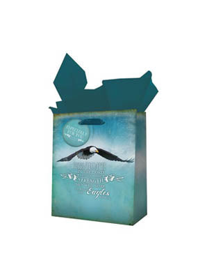 Eagles Small Gift Bag - Re-vived