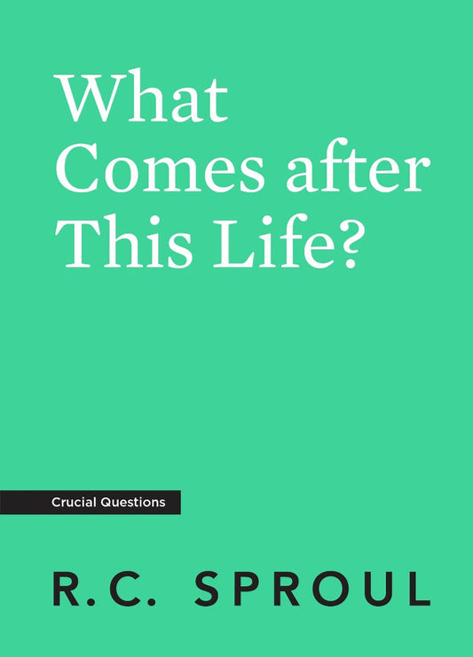 What Comes After This Life? - Re-vived