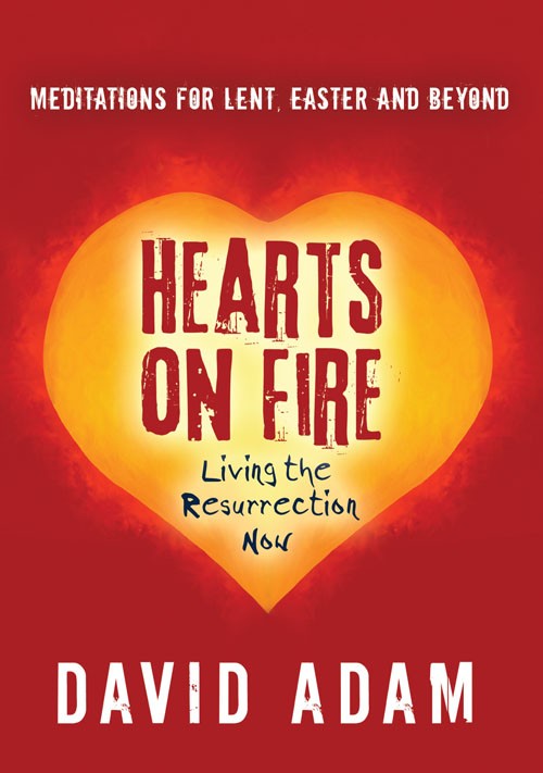 Hearts On Fire - Re-vived