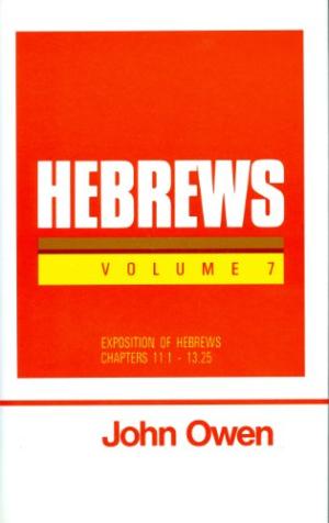 Hebrews Volume 7 - Re-vived