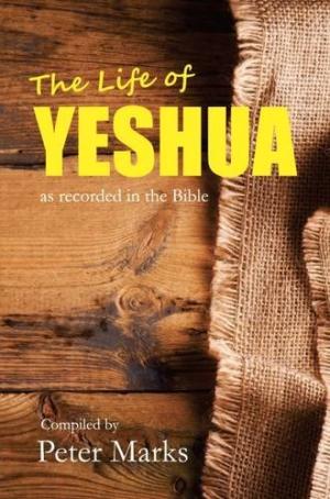 The Life of Yeshua - Re-vived