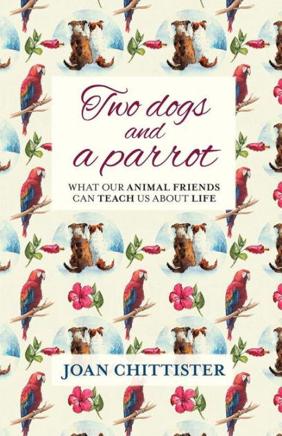 Two Dogs and a Parrot - Re-vived