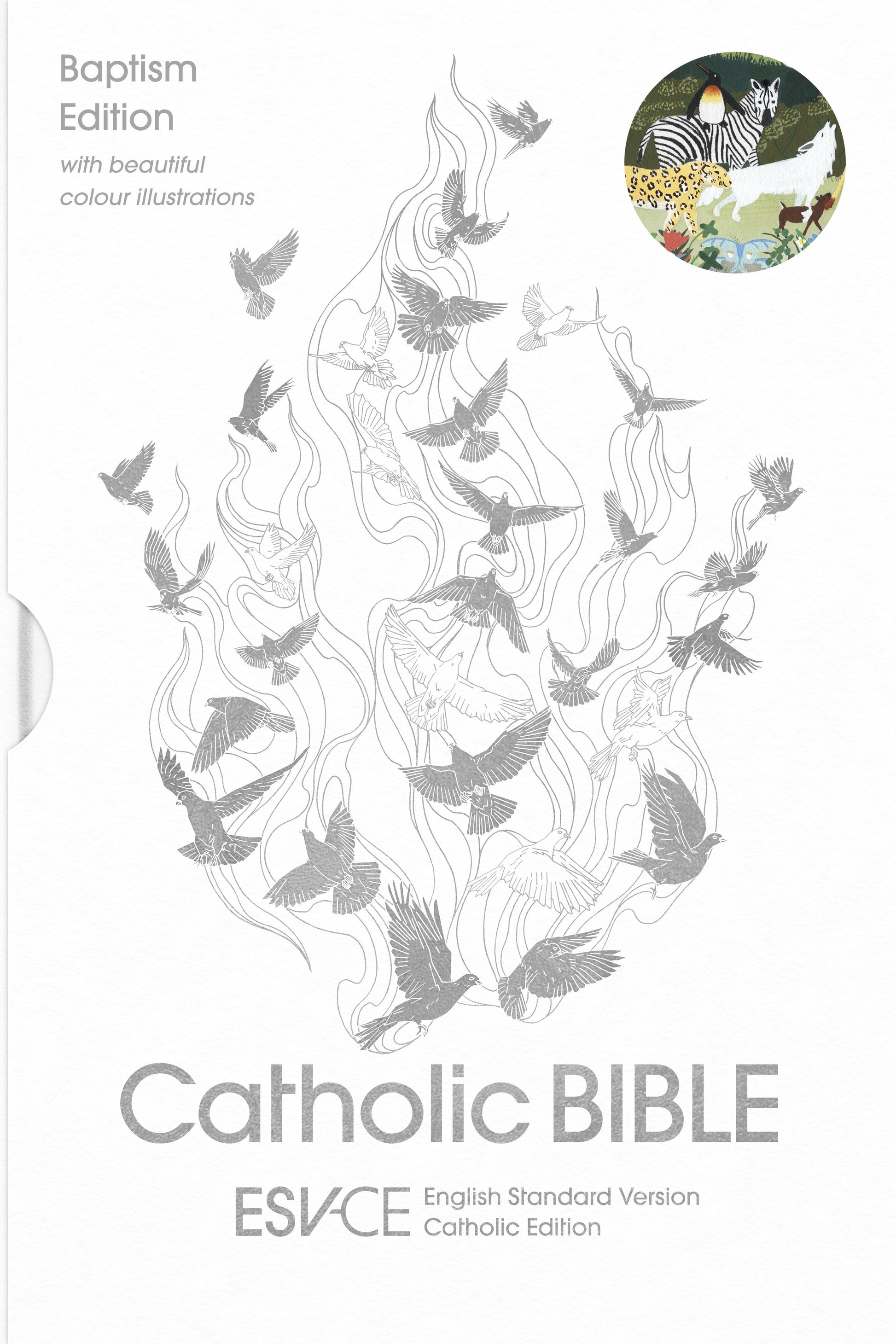 ESV-CE Catholic Bible, Anglicized Baptism Edition - Re-vived
