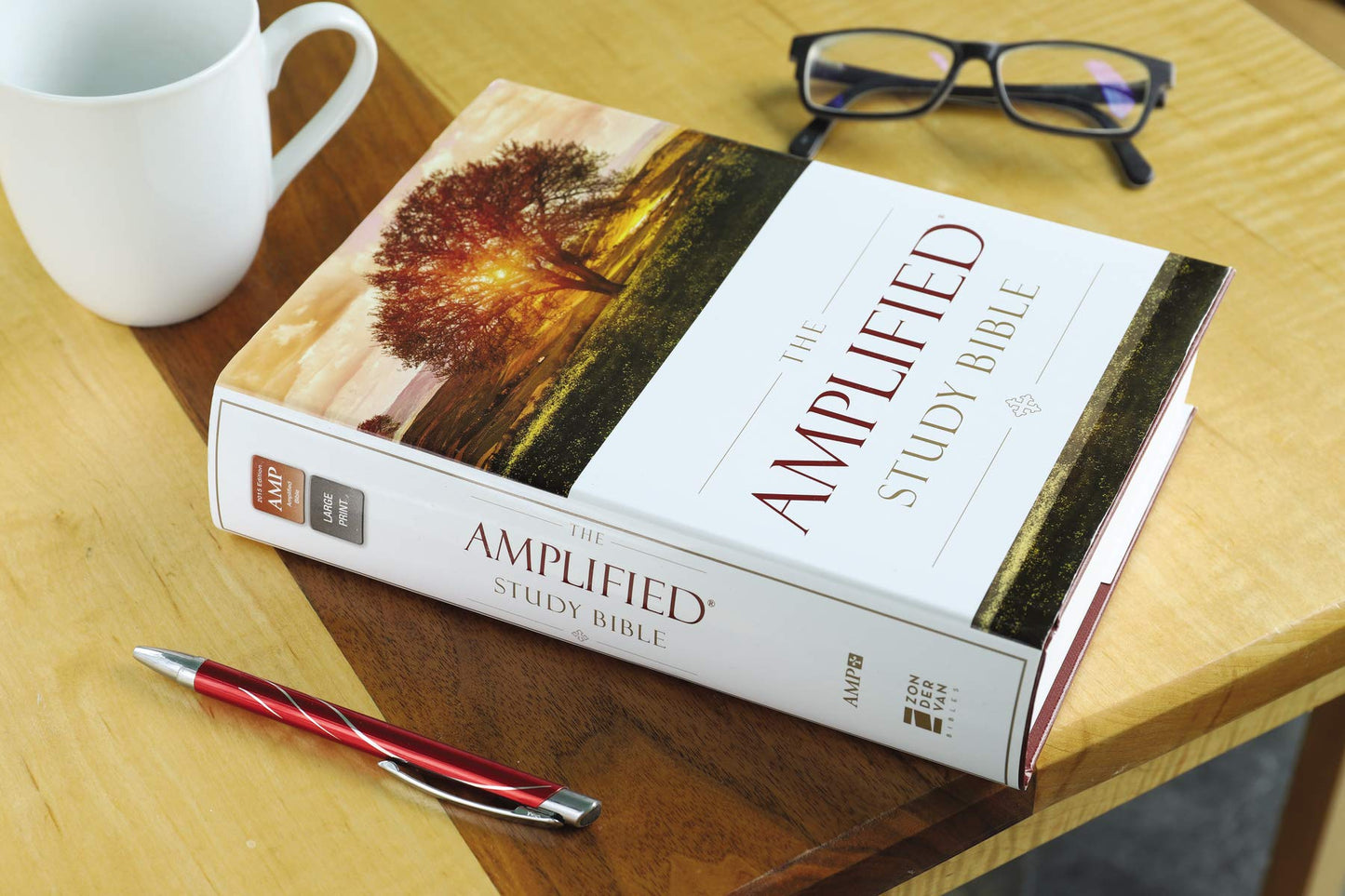 Amplified Study Bible - Re-vived