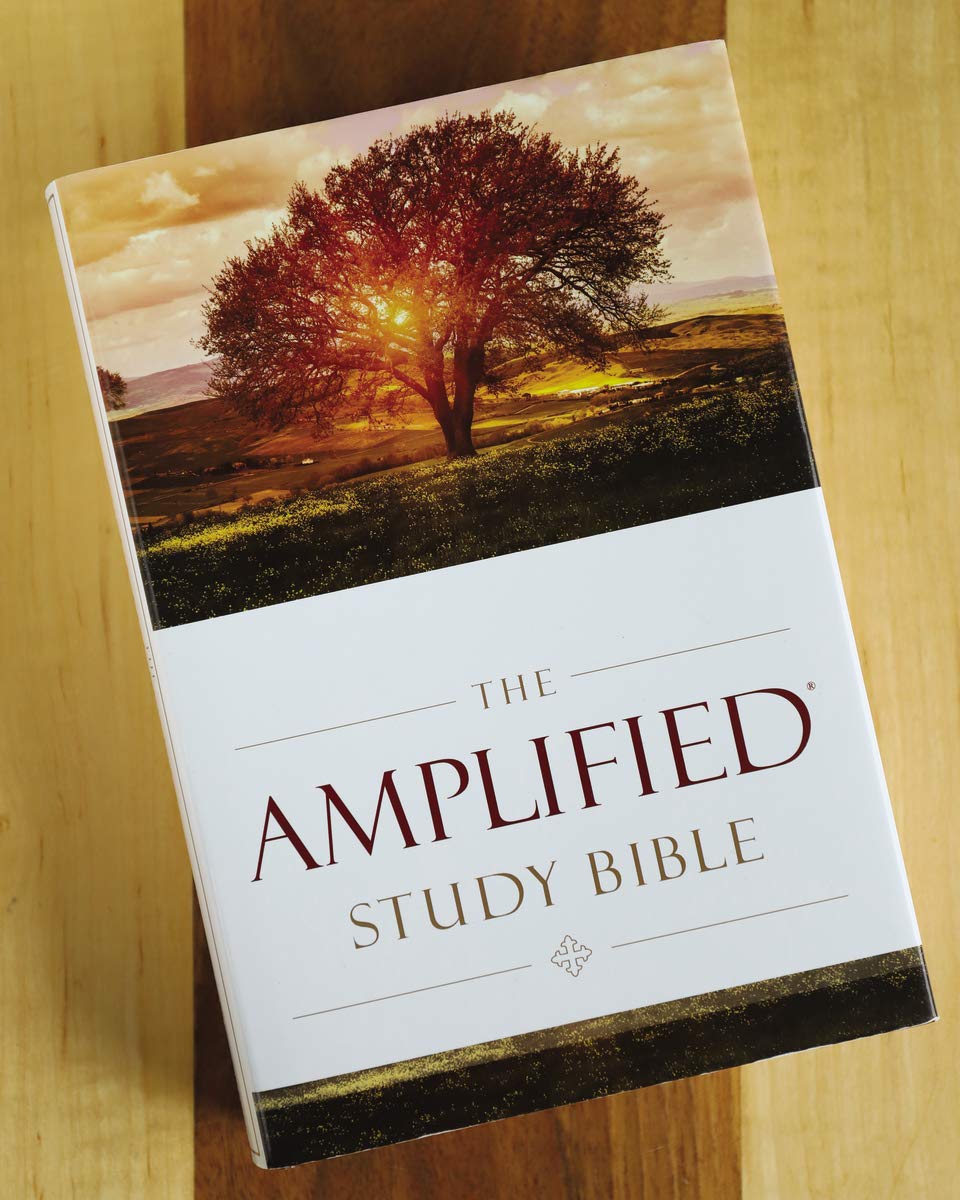 Amplified Study Bible - Re-vived