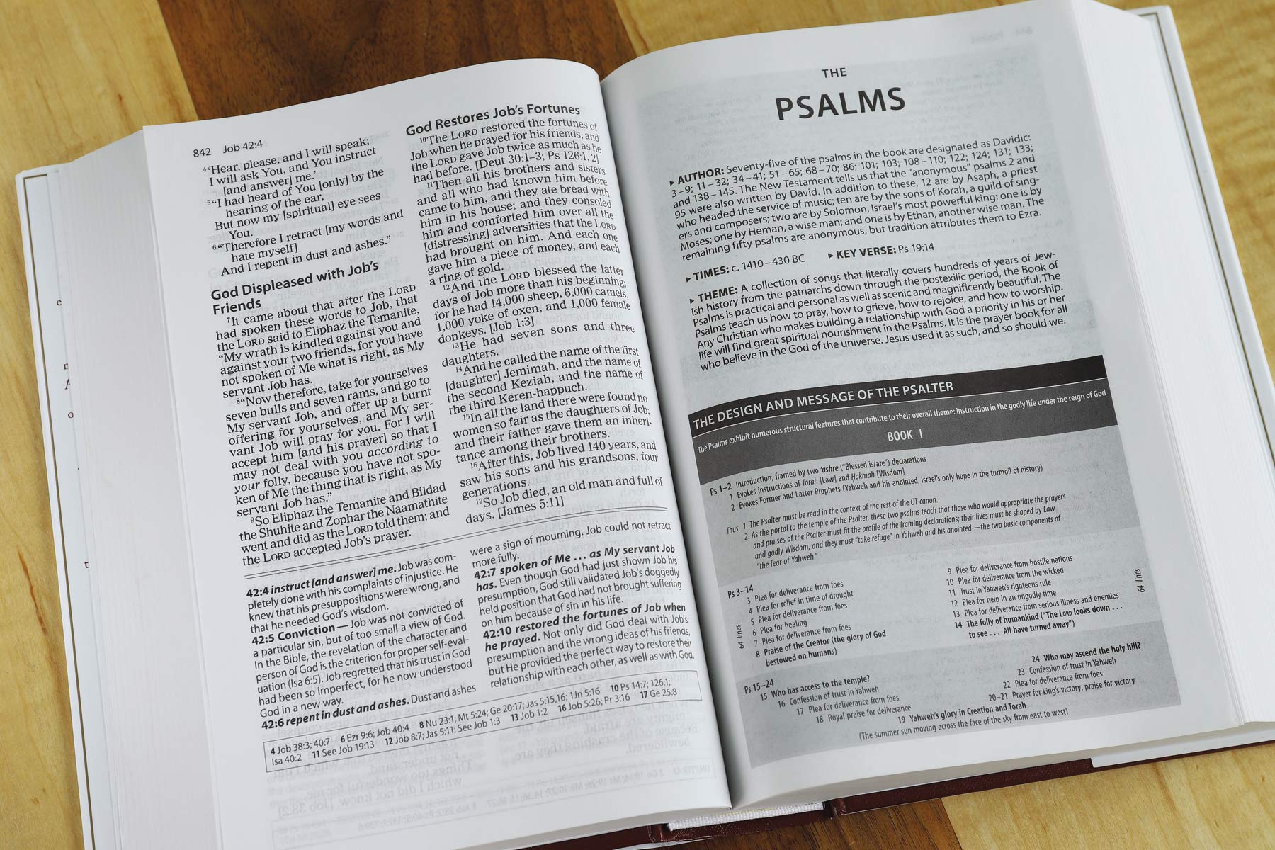 Amplified Study Bible - Re-vived