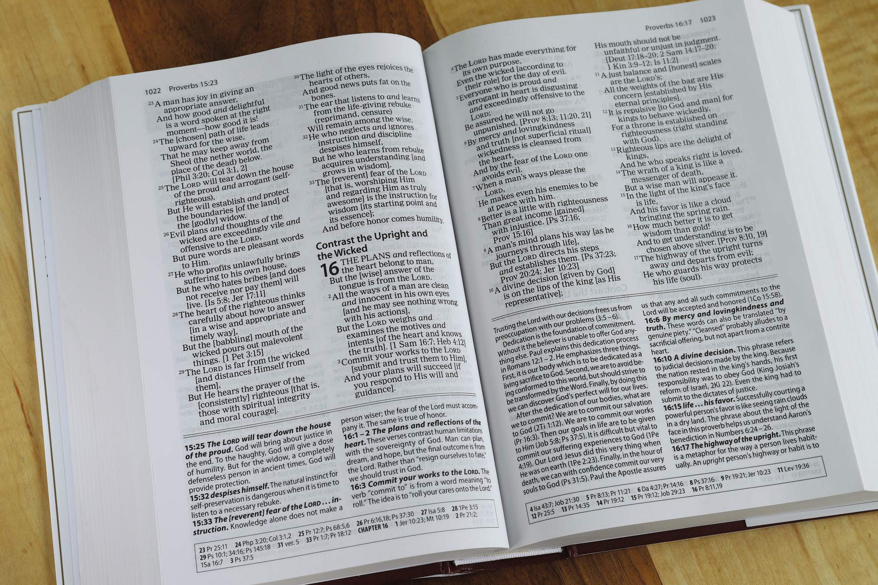 Amplified Study Bible - Re-vived