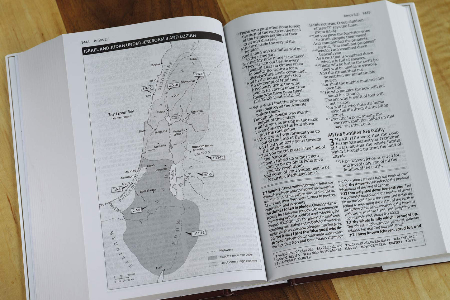 Amplified Study Bible - Re-vived