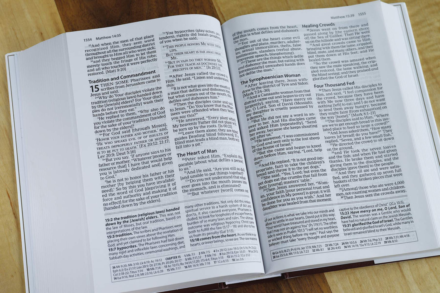 Amplified Study Bible - Re-vived