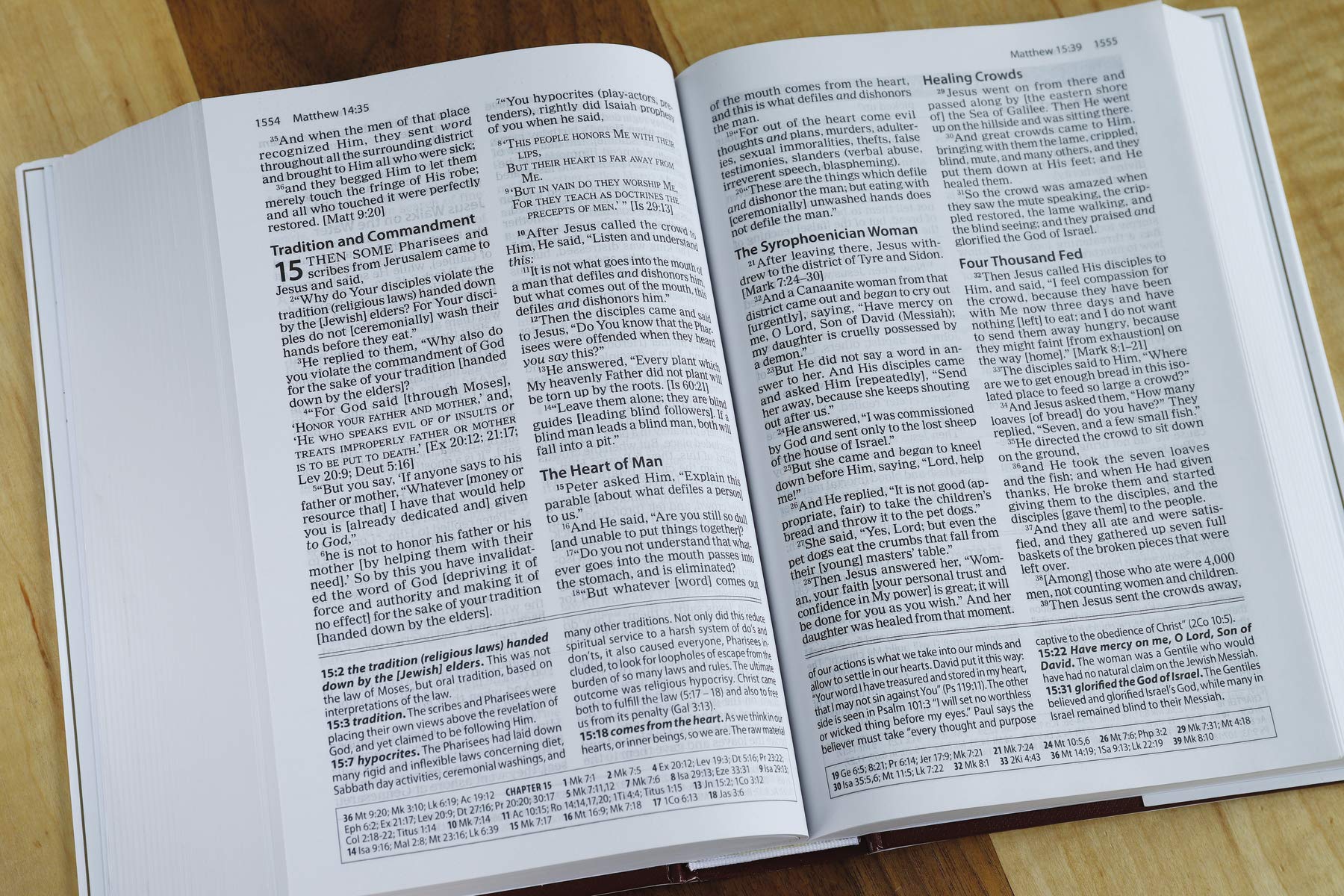 Amplified Study Bible - Re-vived
