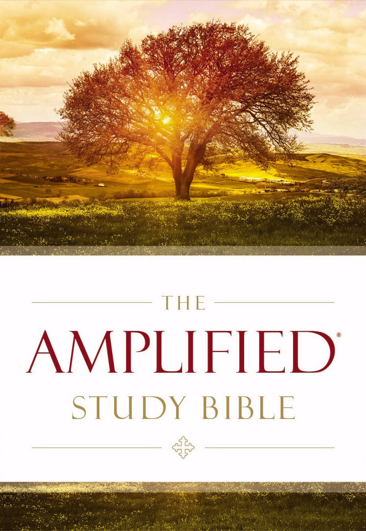 Amplified Study Bible - Re-vived