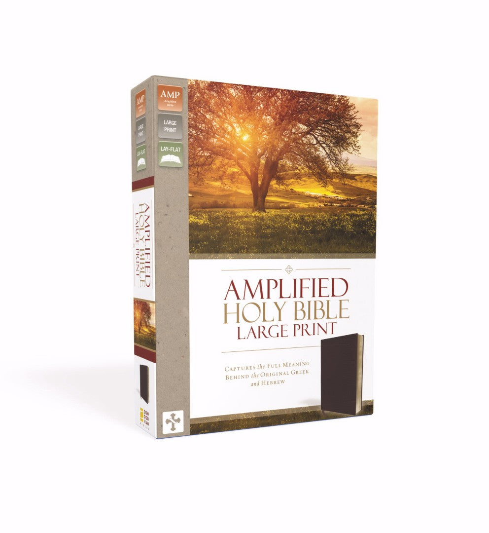 Amplified Holy Bible, Burgundy, Large Print - Re-vived