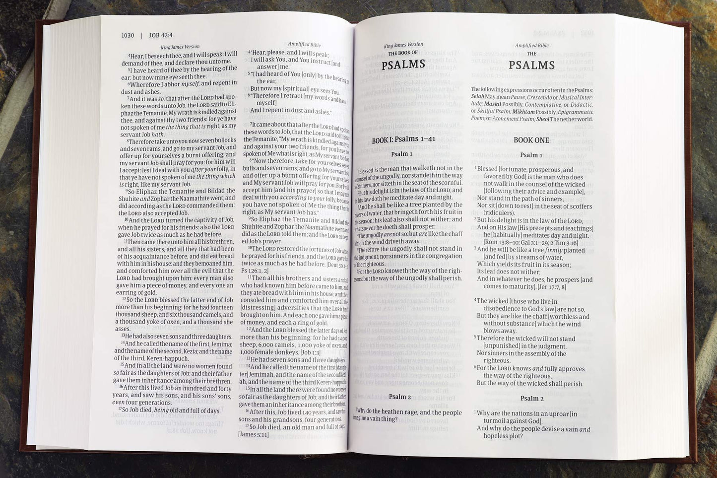 KJV, Amplified, Parallel Bible, Large Print, Hardcover, Red Letter Edition: - Re-vived