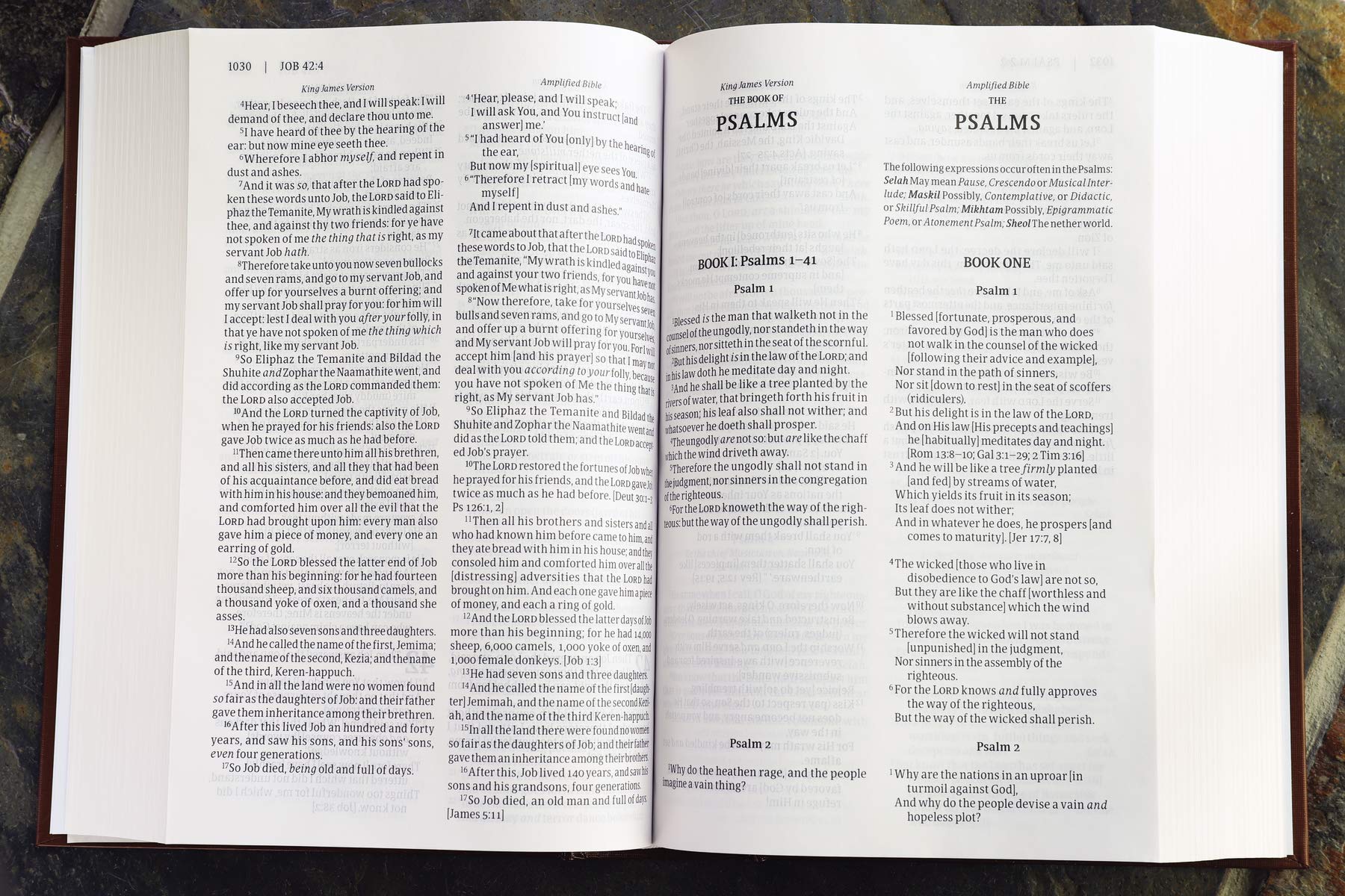 KJV, Amplified, Parallel Bible, Large Print, Hardcover, Red Letter Edition: - Re-vived