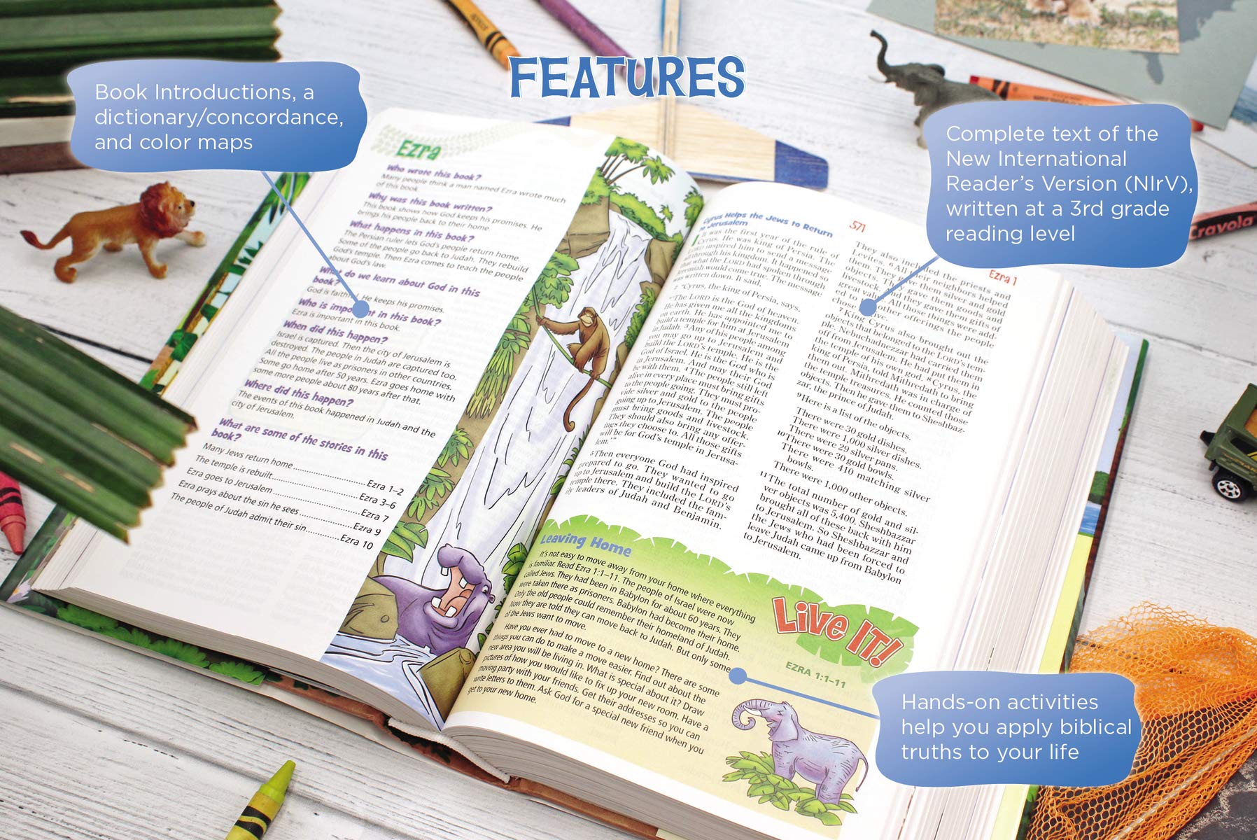 NIRV Adventure Bible For Early Readers - Re-vived