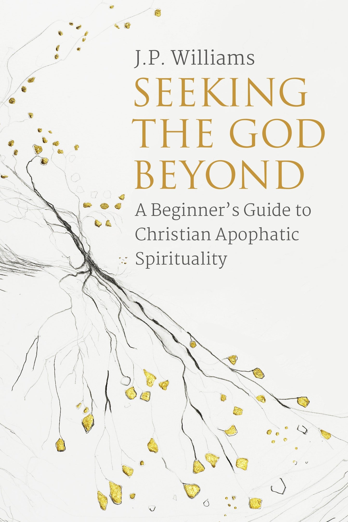 Seeking The God Beyond - Re-vived