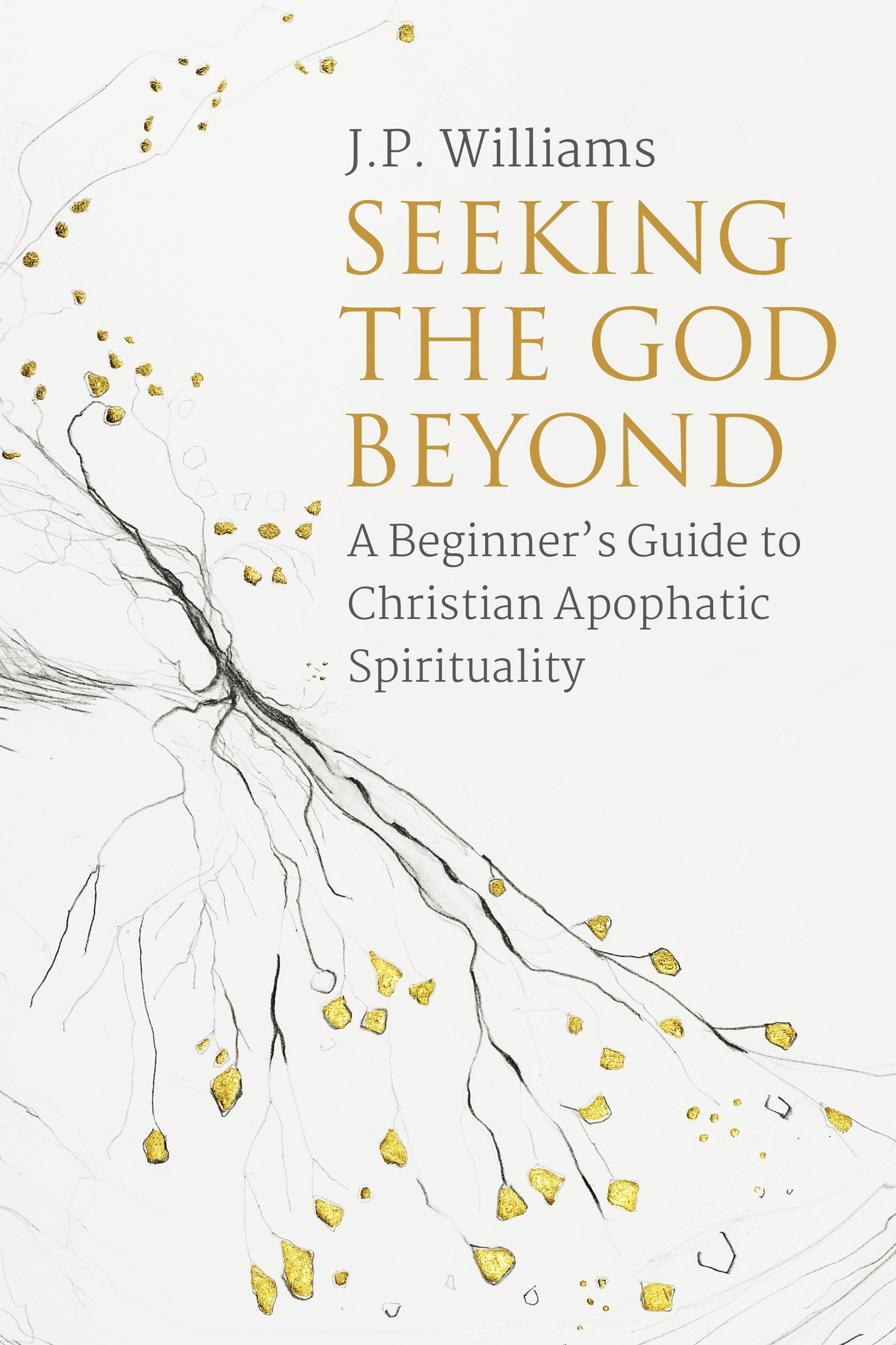 Seeking The God Beyond - Re-vived