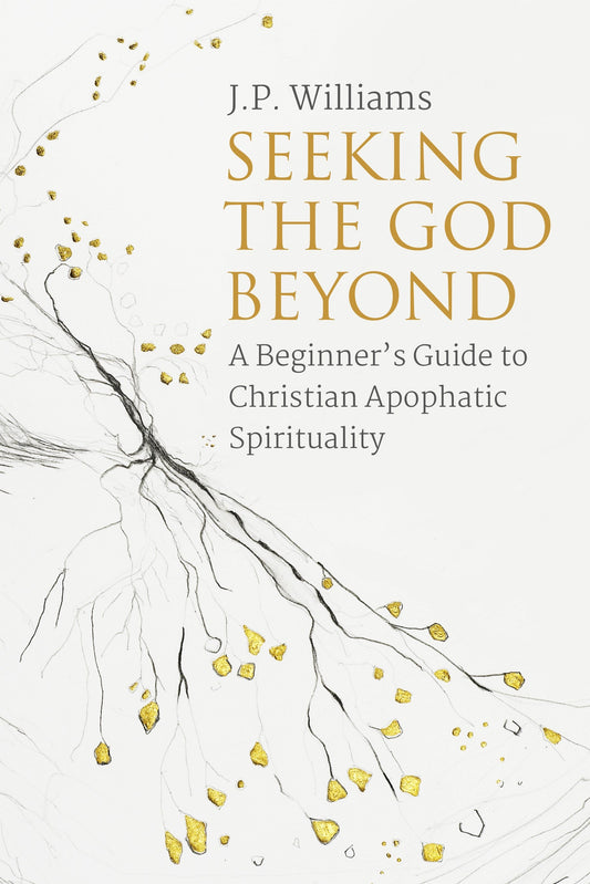 Seeking The God Beyond - Re-vived