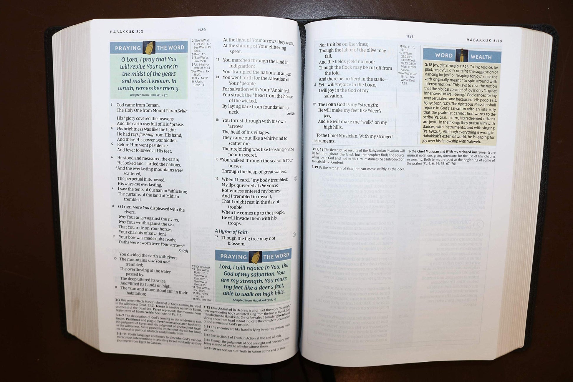 NKJV, Spirit-Filled Life Bible, Third Edition, Imitation Leather, Brown, Red Letter Edition, Comfort Print - Re-vived