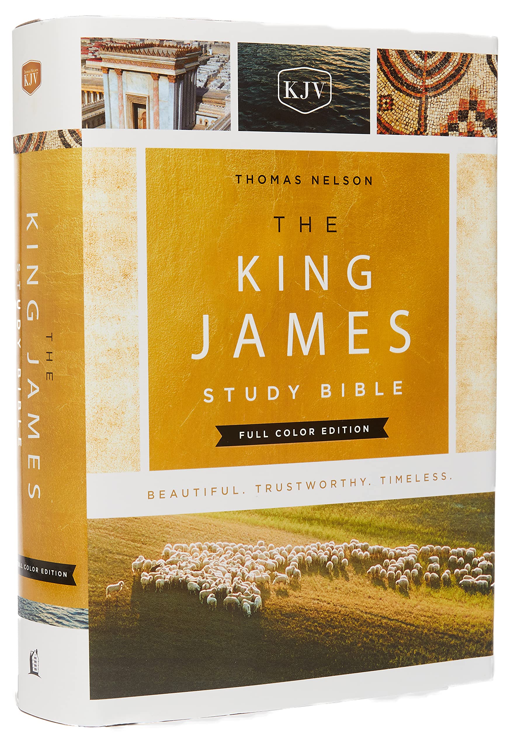 KJV Study Bible, The, Cloth Over Board, Full-Color Ed. - Re-vived
