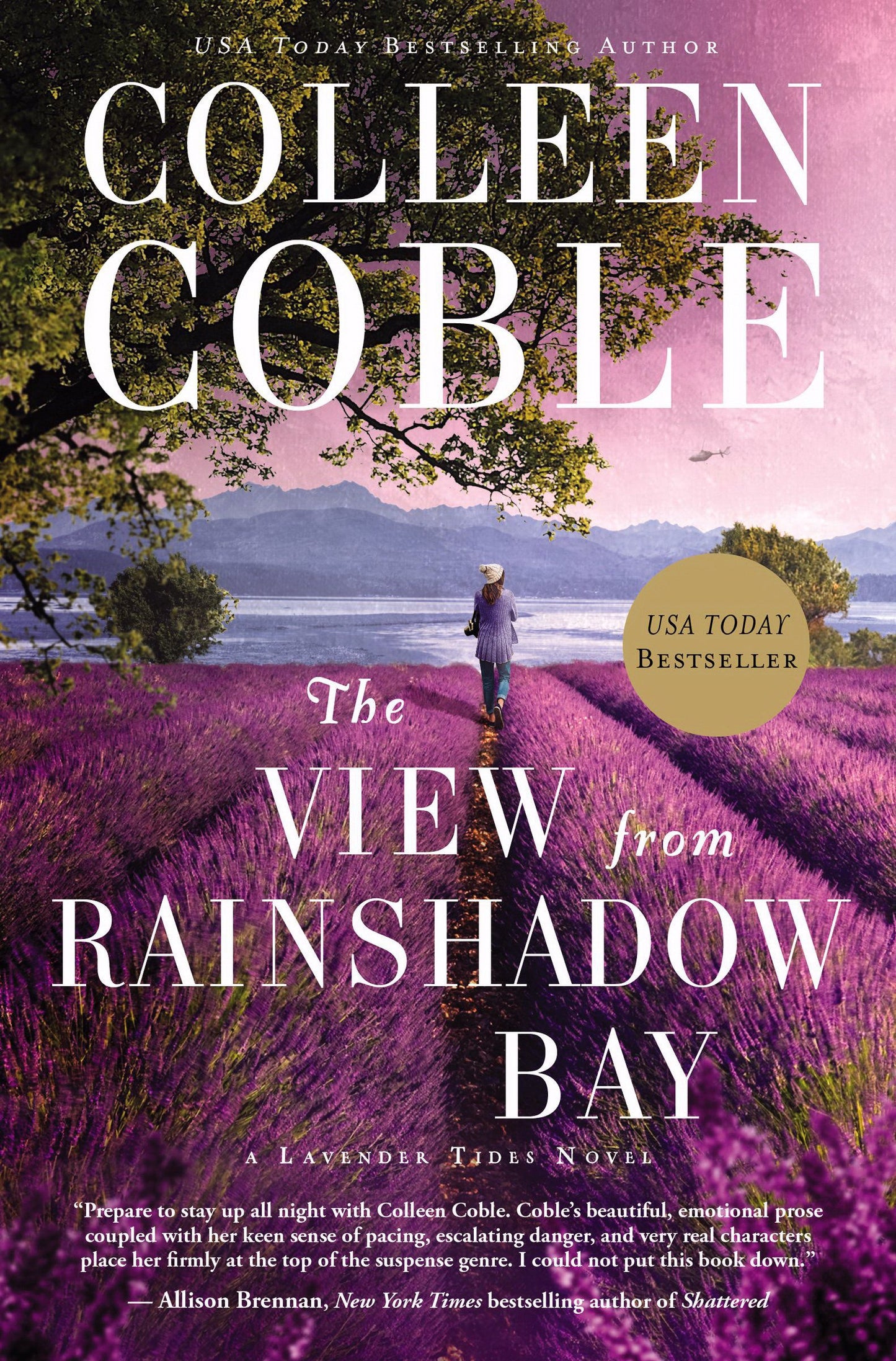 The View From Rainshadow Bay - Re-vived