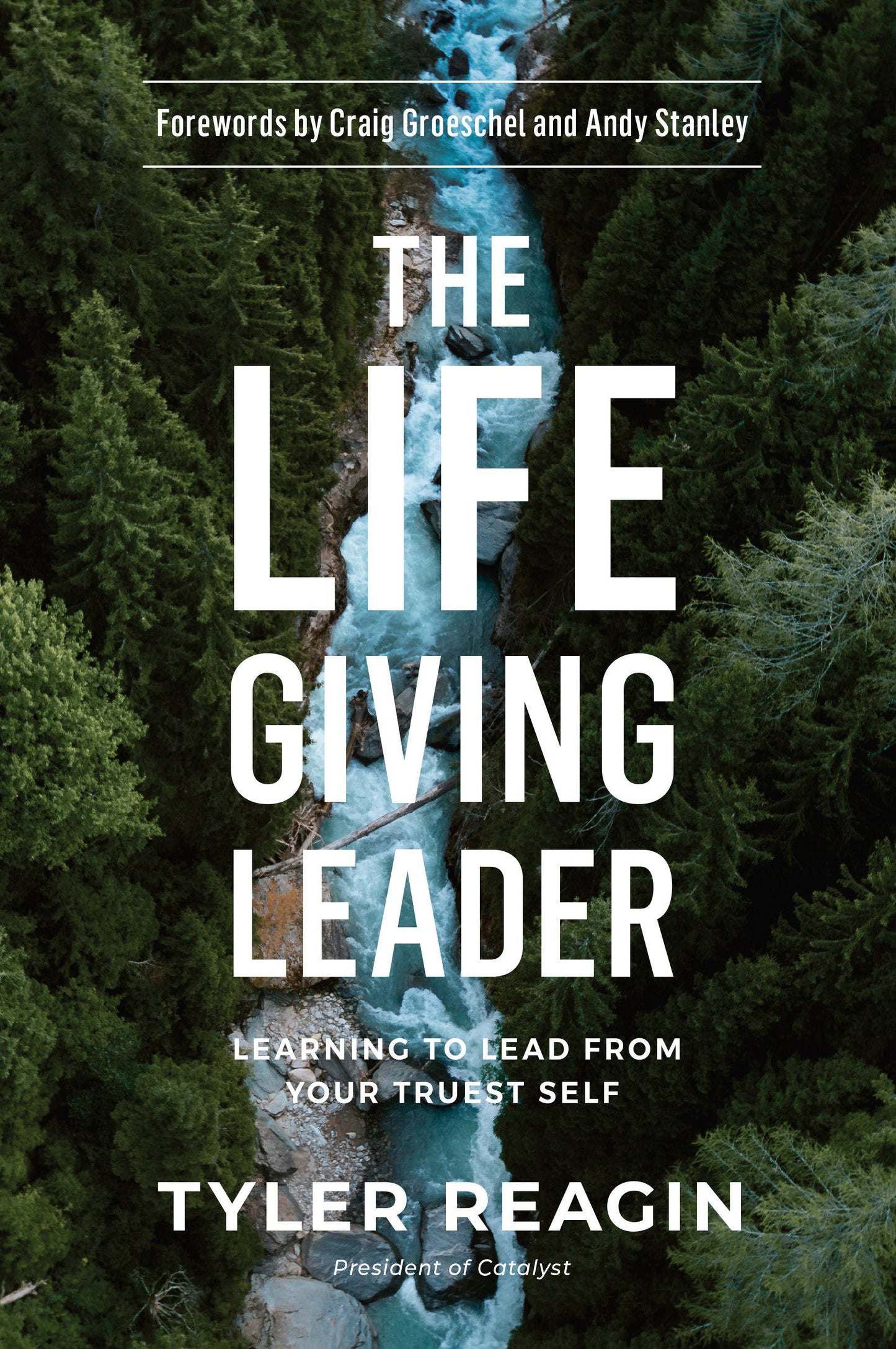The Life-Giving Leader - Re-vived