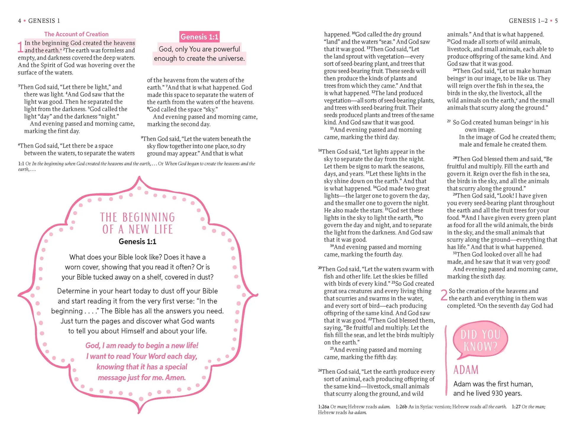 A Girl After God's Own Heart® Bible - Re-vived
