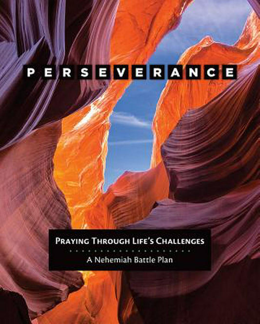 Perseverance - Re-vived