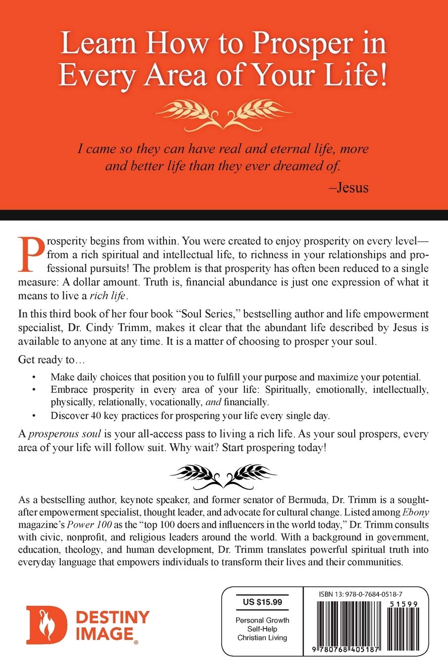 The Prosperous Soul Paperback - Re-vived