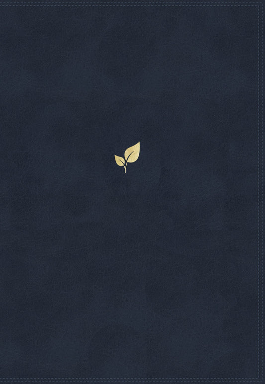 NKJV Lucado Encouraging Word Bible, Blue, Indexed - Re-vived