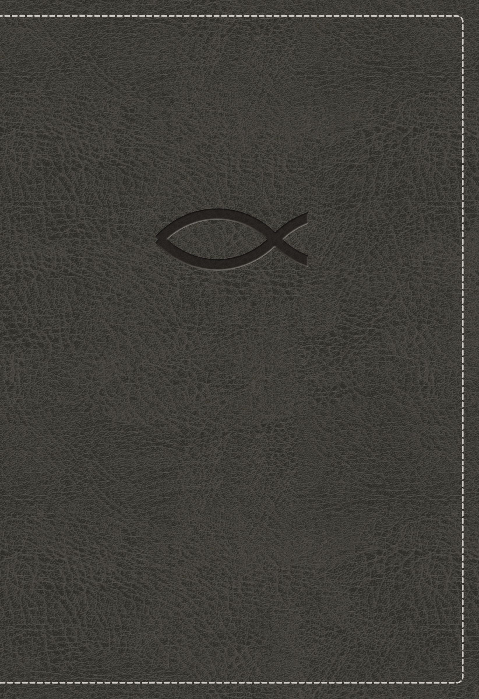 KJV Thinline Bible, Youth Edition, Gray, Red Letter - Re-vived