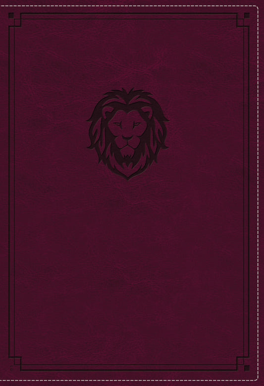 KJV Thinline Bible, Youth Edition, Burgundy, Red Letter - Re-vived