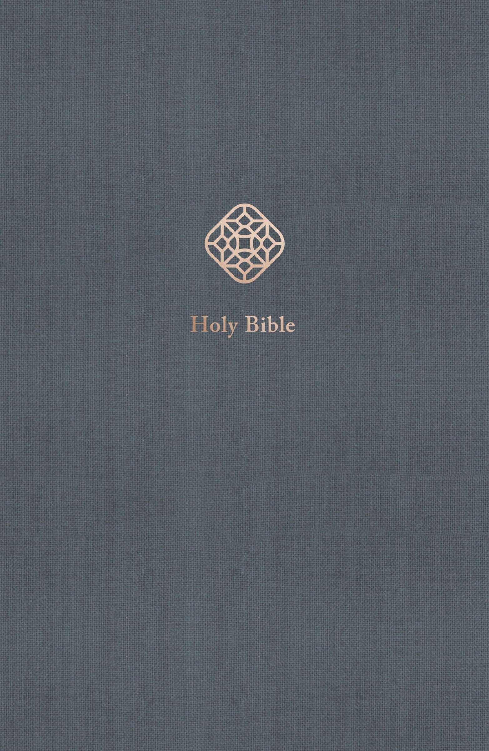 NRSV Catholic Bible, Journal Edition, Blue, Comfort Print - Re-vived