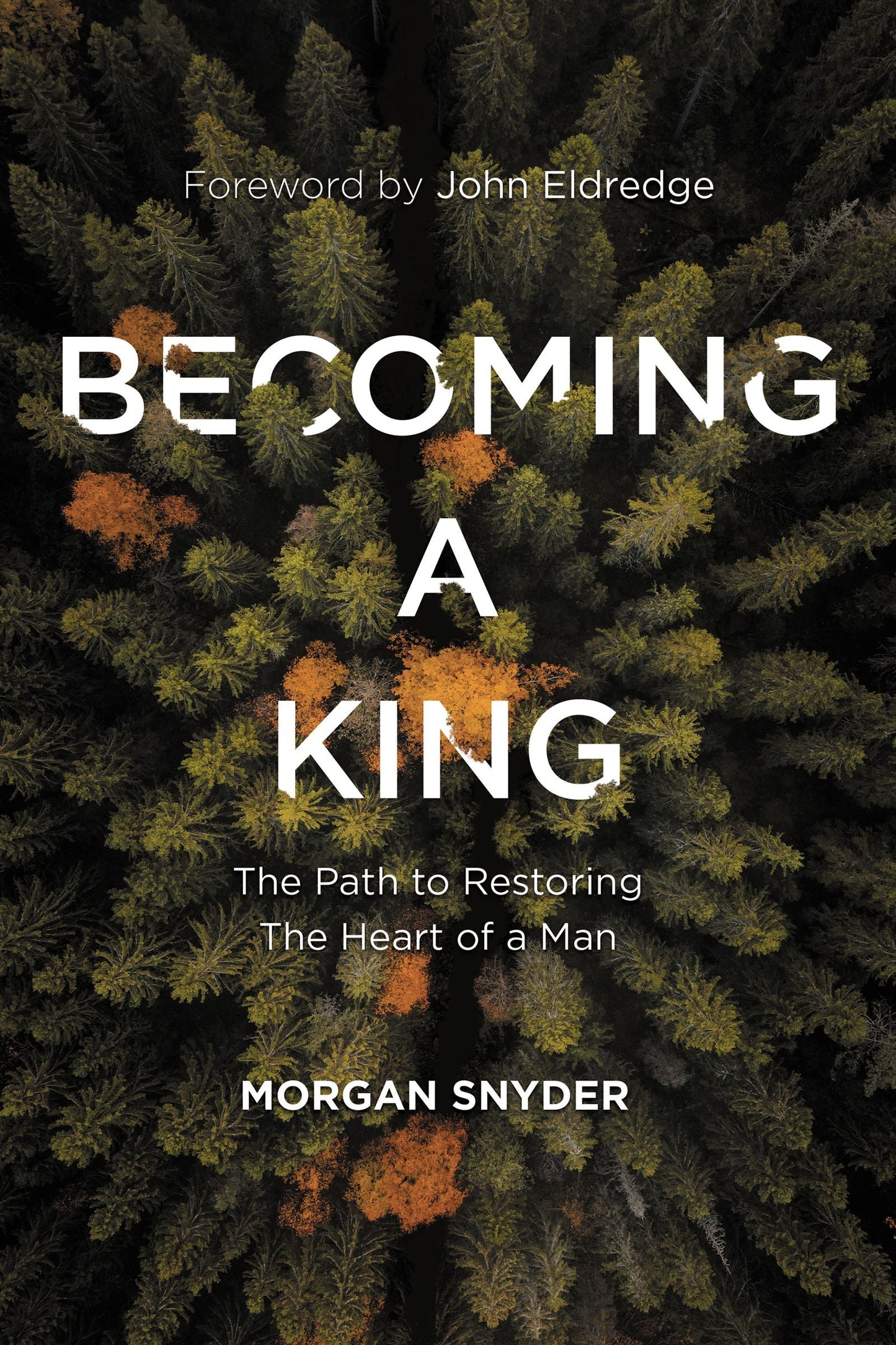 Becoming a King - Re-vived