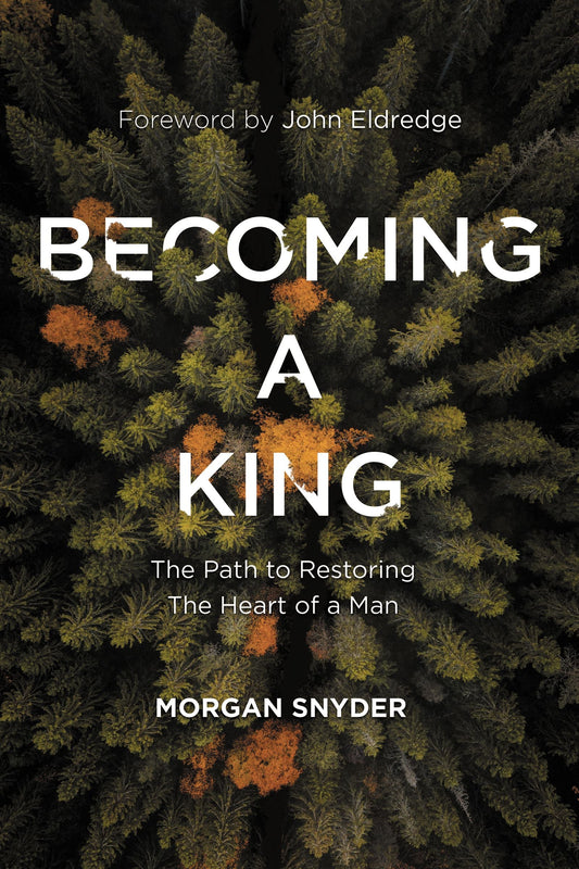 Becoming a King - Re-vived