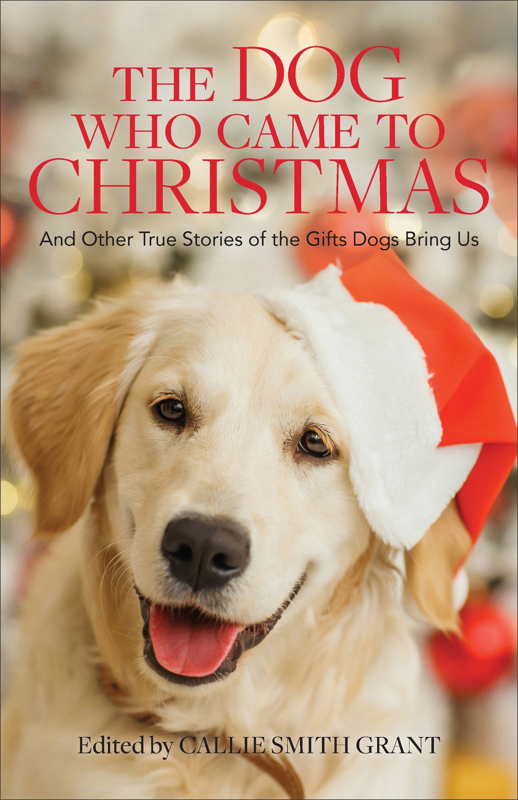 The Dog Who Came to Christmas - Re-vived