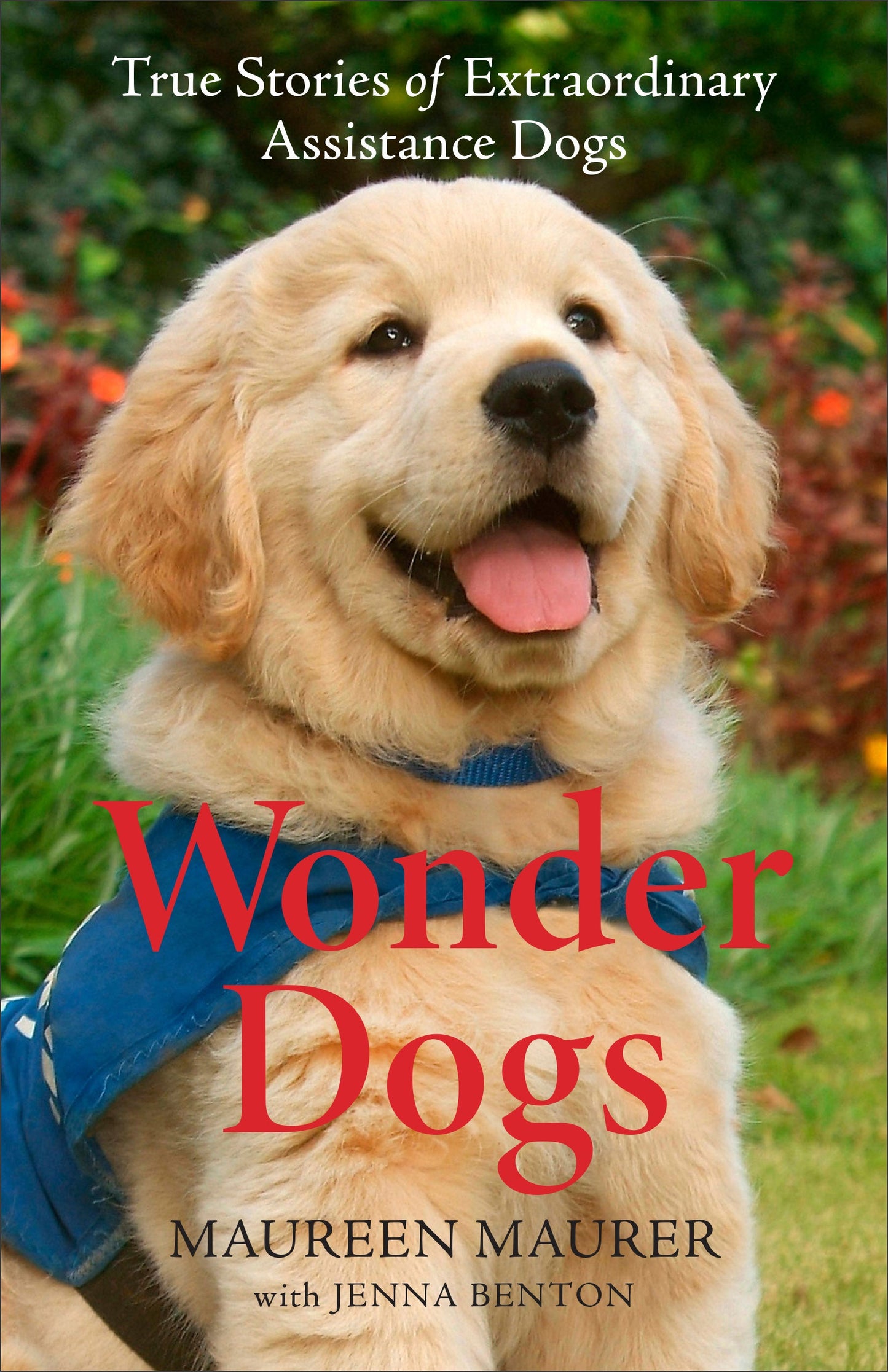 Wonder Dogs - Re-vived