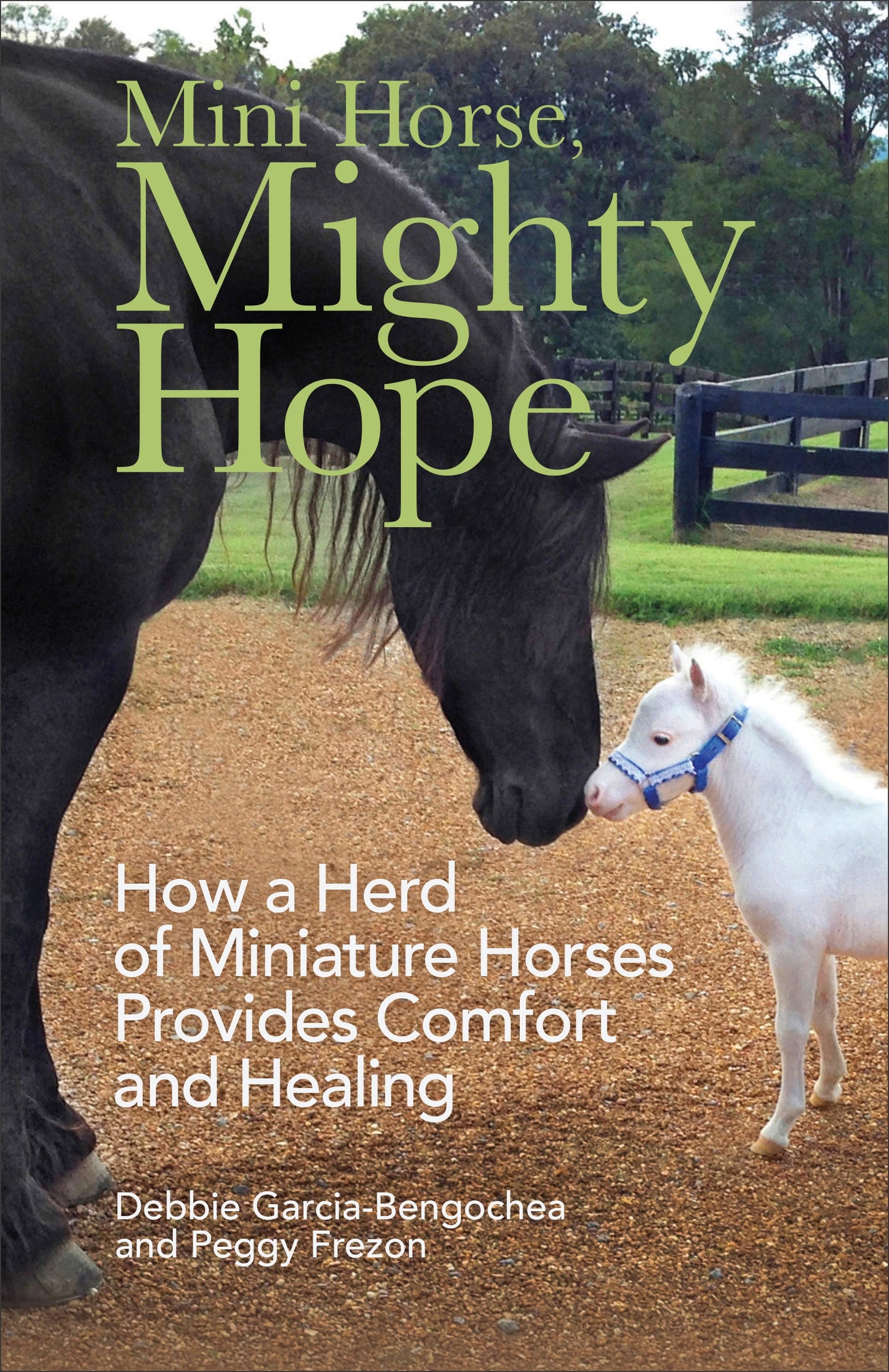 Mini Horse, Mighty Hope - Re-vived