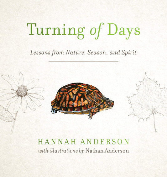 Turning of Days - Re-vived