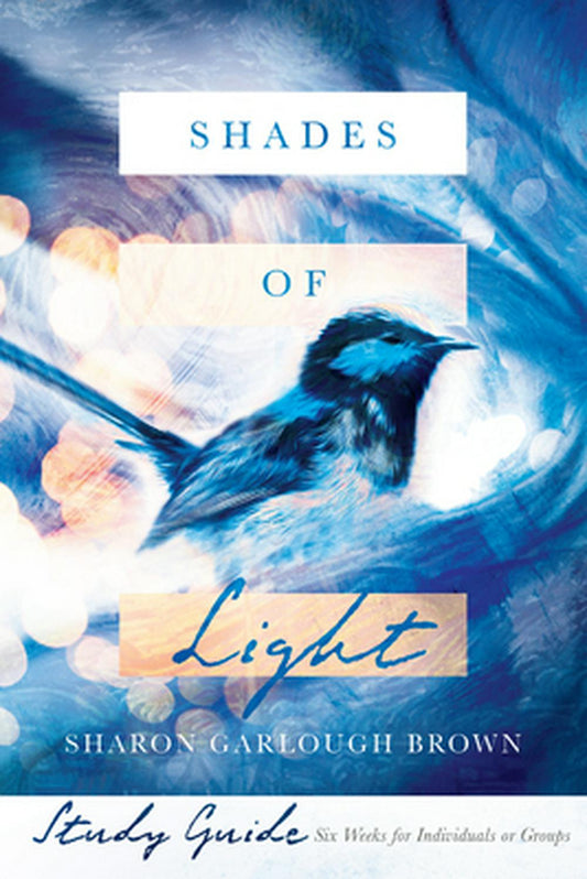 Shades of Light Study Guide - Re-vived