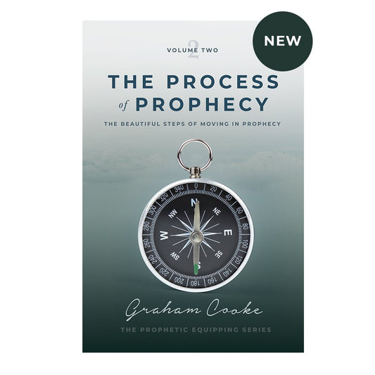 The Process of Prophecy - Re-vived