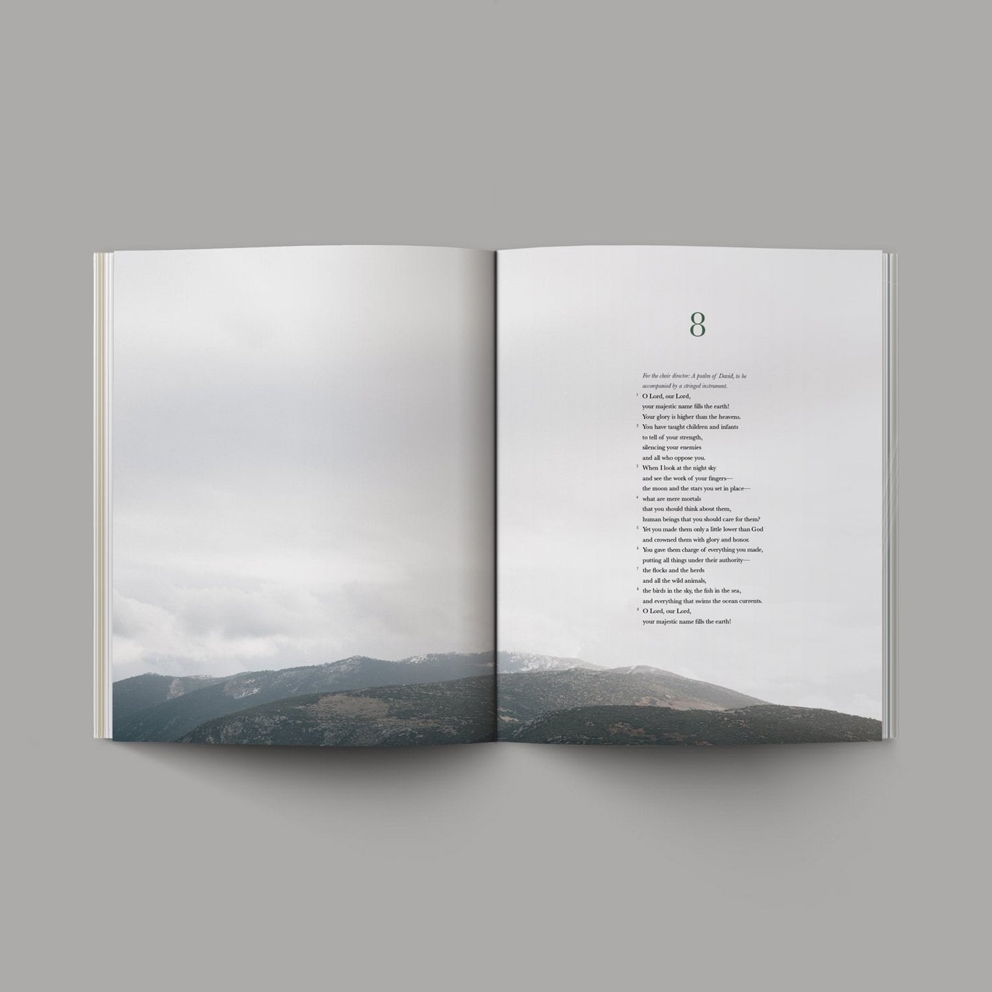 Book of Psalms (Hardcover) - Re-vived