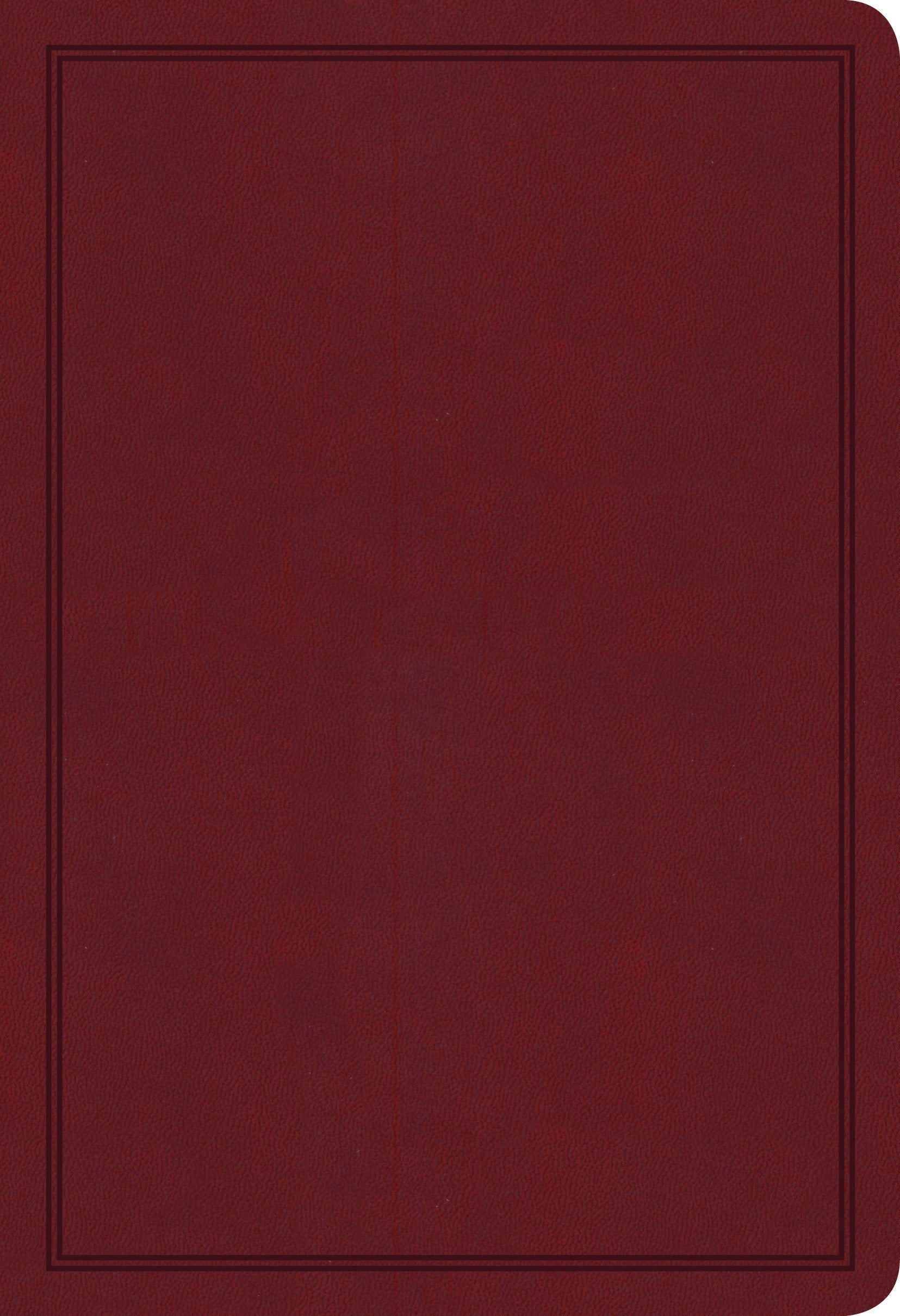 KJV Deluxe Gift Bible, Burgundy LeatherTouch - Re-vived