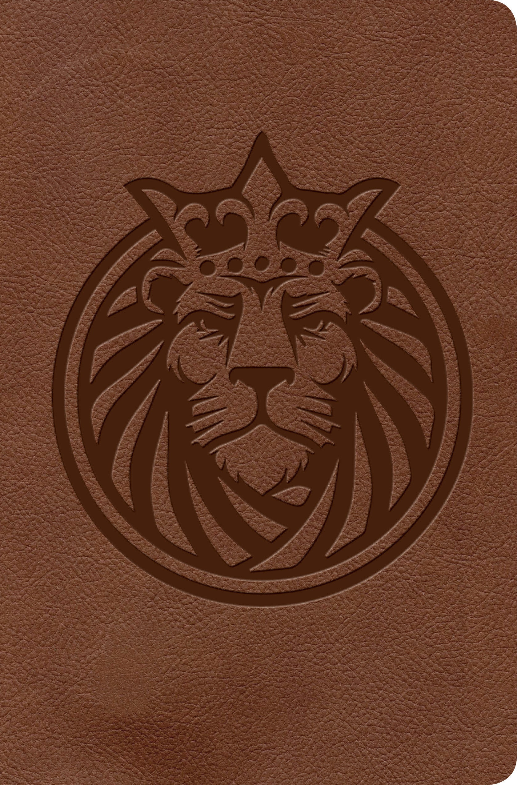 KJV Kids Bible, Lion LeatherTouch - Re-vived