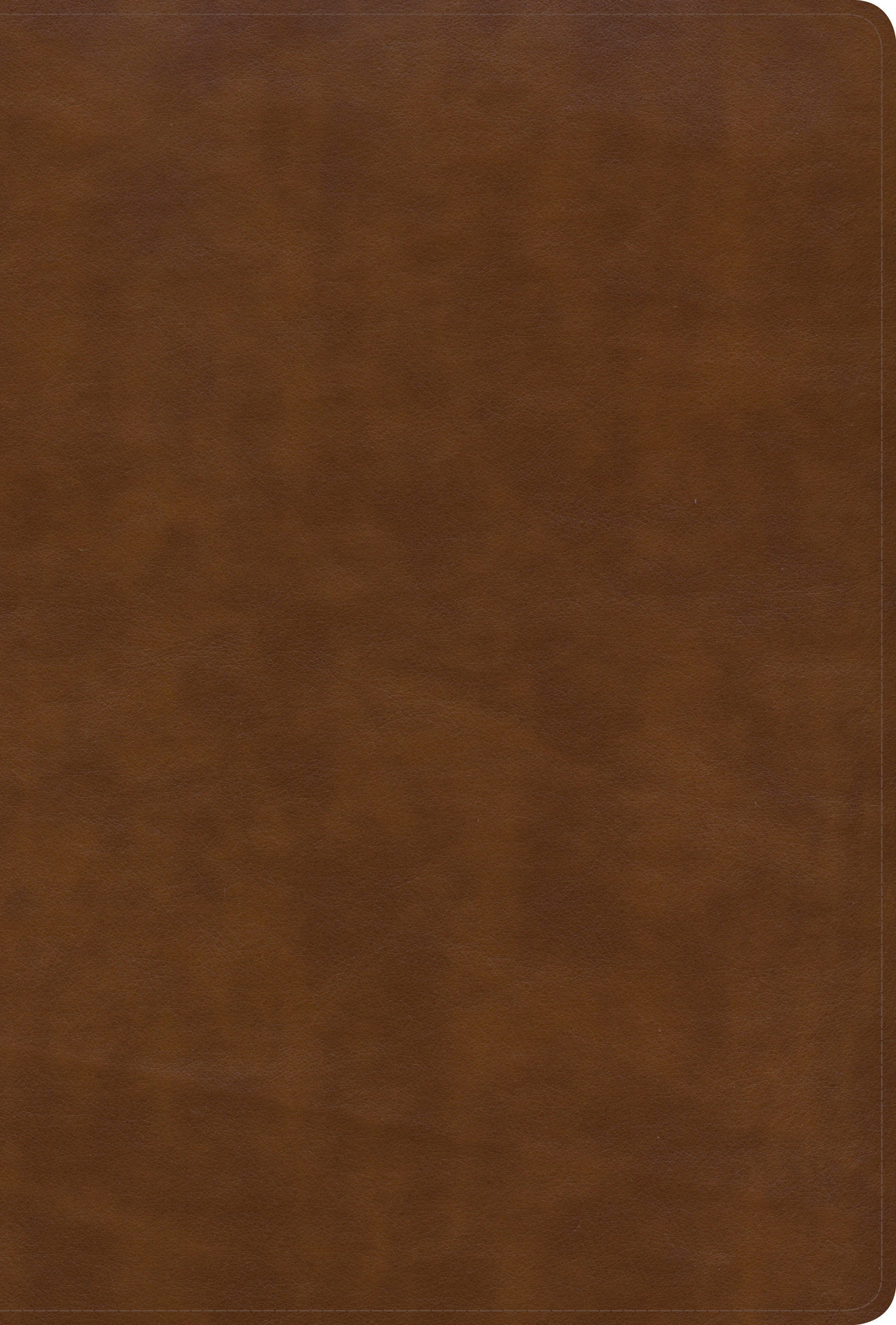 KJV Large Print Ultrathin Reference Bible, British Tan - Re-vived
