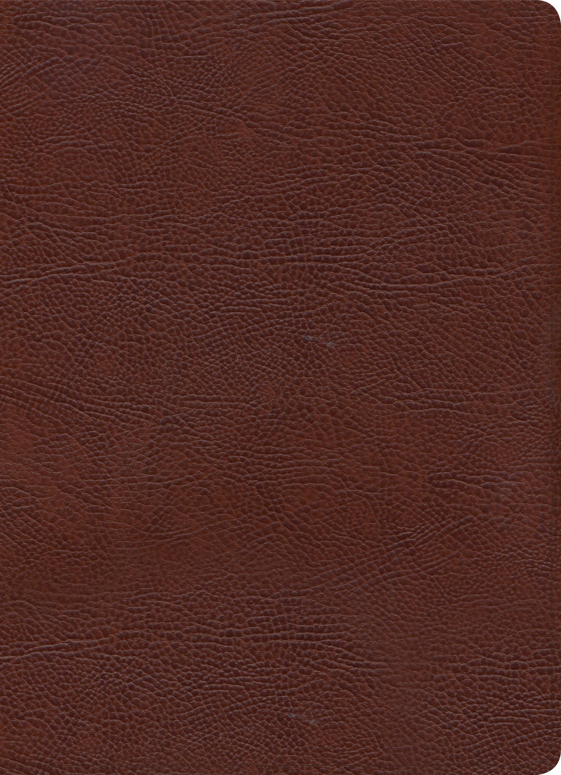 KJV Study Bible, Full-Color, Brown Bonded Leather, Indexed - Re-vived