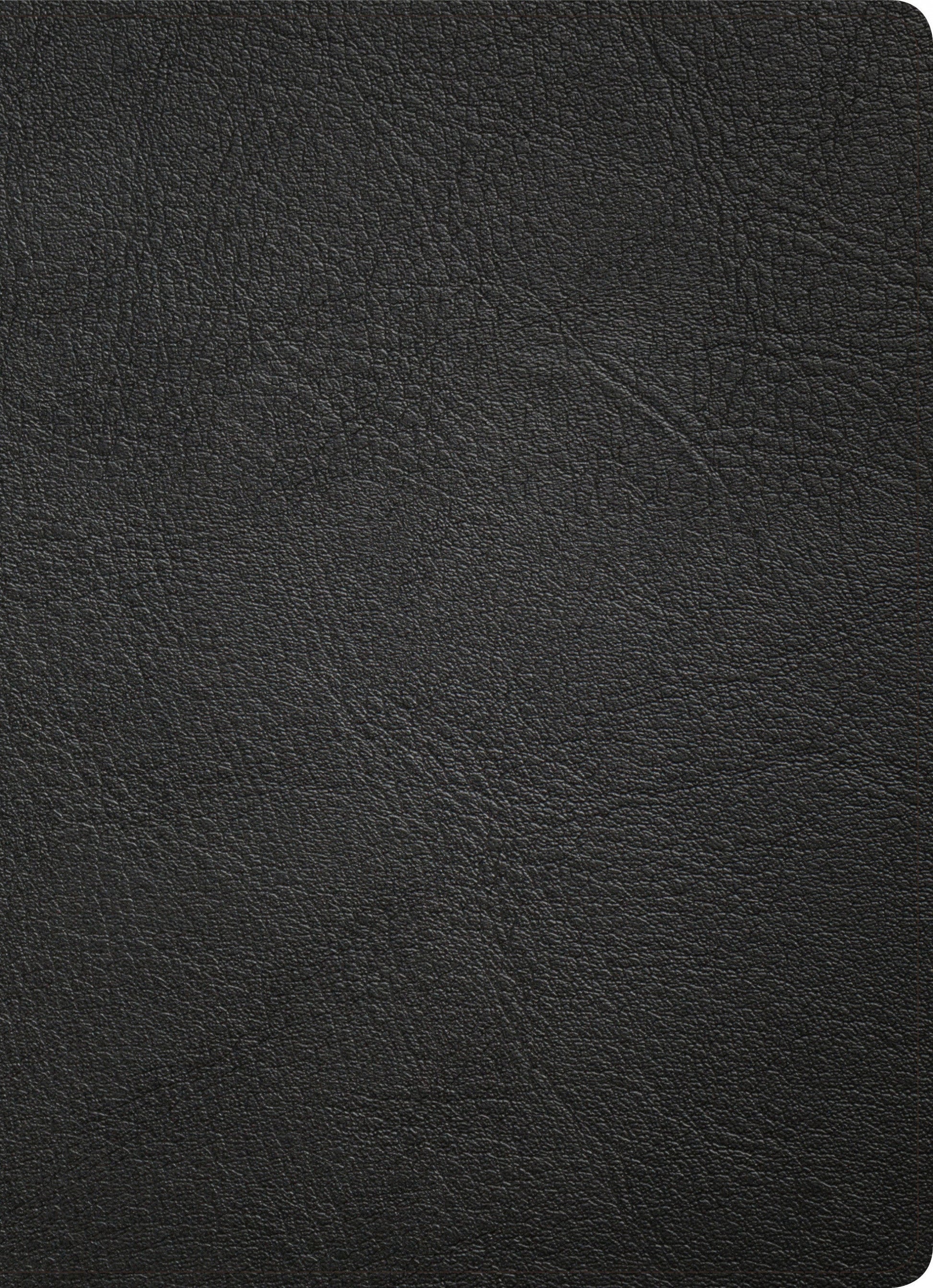KJV Study Bible, Full-Color, Black Premium Leather, Indexed - Re-vived