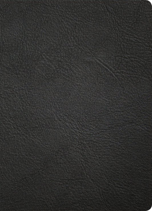 KJV Study Bible, Full-Color, Black Premium Leather, Indexed - Re-vived